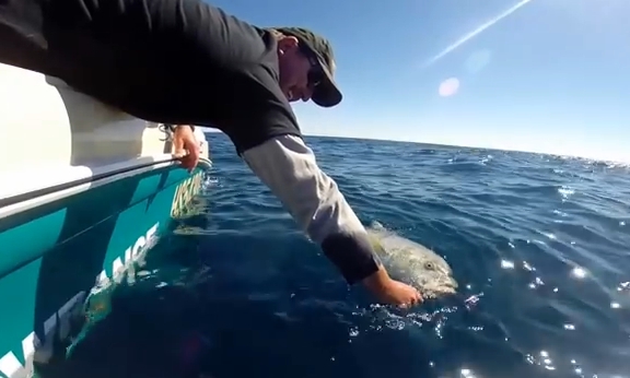 Image: Shane Chalker